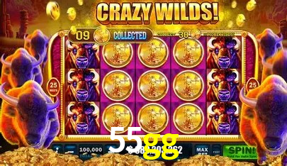 cassino 55gg